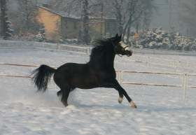 2013.12.31 Nowe domu 2013