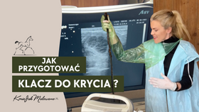 18.04.25 Jak przygotować klacz do krycia?