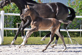 2025.05.30 Miesiąc Dolce Romeo Jak Malowanego
