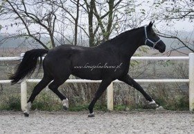 2018.12.21 Rascaria już ponad miesiąc z nami