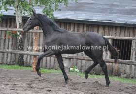 2013.05.27 Młode damulki