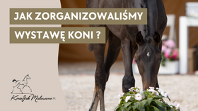 6.07.25 Jak zorganizowaliśmy wystawę koni?