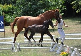 2018.06.28 Wystawa Saheylu w Żelichowie