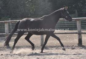 2013.03.18 Poprzednia wiosna Splash