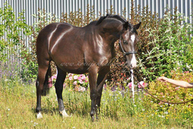 2022.06.27 Dwa lata Next to me