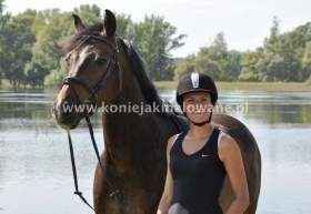 2013.09.26 Ciekawe konie minionego sezonu