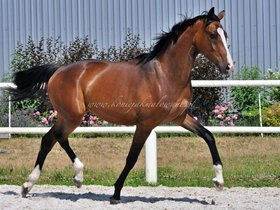 2021.07.03 2 lata Samedi Jak Malowanej