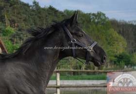 2012.05.25 Spotkanie ze Splash