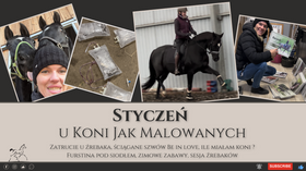 09.02.25 Zatrucie u źrebaka, ściąganie szwów, ile miałam koni, Furstina pod siodłem - styczeń Jak Malowany