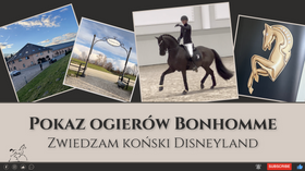1.03.24 Pokaz ogierów w Bonhomme - zwiedzam koński Disneyland