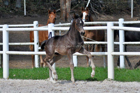 2022.04.28 Miesiąc Totally Perfect