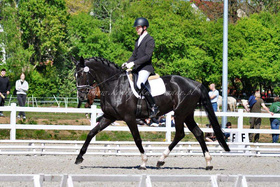 2024.05.01 Pierwsze zawody Saheylu