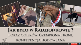 31.01.24 Wyjazd do Radzionkowa - czempionat, pokaz ogierów, konferencja i nasze wystąpienie