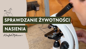 29.03.25 Sprawdzanie żywotności nasienia