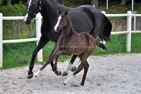 2023.05.26 Miesiąc Silhouette Jak Malowanej