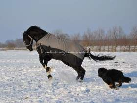 2011.01.05 - W zimowym słońcu