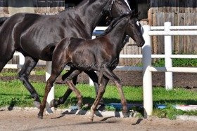 2019.10.20 3,5 miesiąca Twilight Jak Malowanej