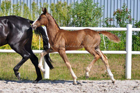 2023.06.12 3 miesiące Delightfull Jak Malowanego