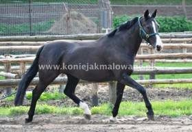 2014.06.13 Tosia, Sarka i Starka