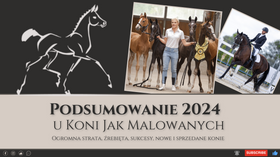 17.01.25 2024 u KoniJakMalowanych - wielka strata, sukcesy, nowe i sprzedane konie