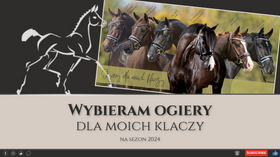 17.04.24 Jak wybieram ogiery dla klaczy