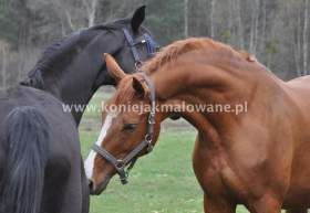 2013.04.30 Za bramami łąk