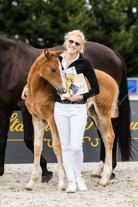 2024.07.30 Bel Ami Jak Malowana Vice Czempionką wystawy Hanowerskiej w Kunowie