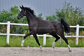 2023.08.30 3 lata Be in love