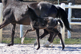 2022.03.31 2 tygodnie Freedom Jak Malowany