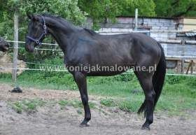 2012.06.30 Czerwcowe spotkanie Splash z roczniakami