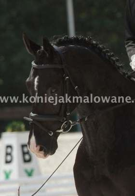 2012.10.30 Podsumowanie sezonu 2012