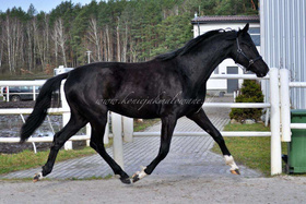 2022.02.19 2 lata Shavalu H