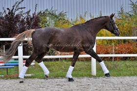 2023.11.10 Pierwsza sesja First Fabioli