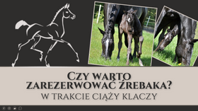 19.01.25 Czy warto zarezerwować źrebaka?